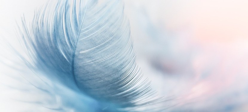 Ein Märchen am Montag&nbsp;Morgen