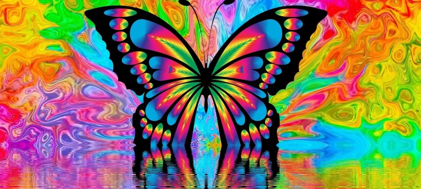 1000 bunte Schmetterlinge