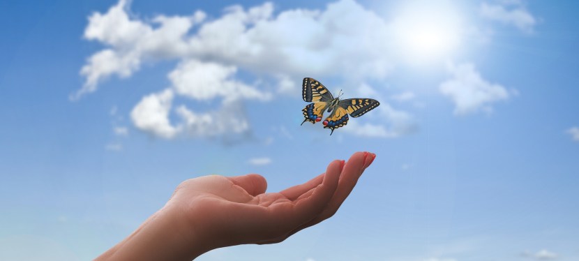 Wie Leben mit Borderline gelingen kann&nbsp;…