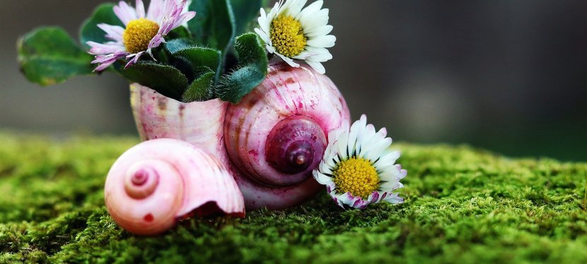 Über Glücksformeln und Erfolgsgeheimnisse