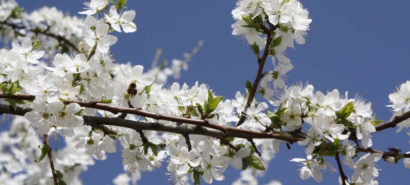 Achte auf dich – und deine&nbsp;Gedanken