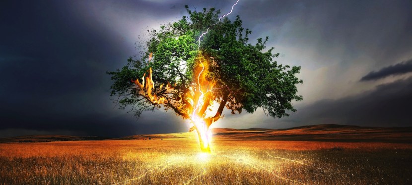 WANN BEGINNT ZUVIEL?