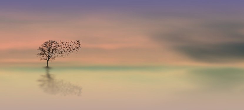 Tagebuch meines neuen Lebens / Tag&nbsp;11