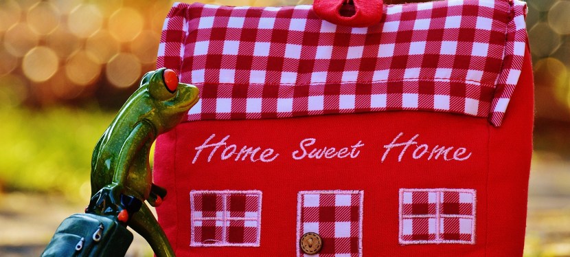 Tagebuch meines neuen Lebens / Tag&nbsp;19