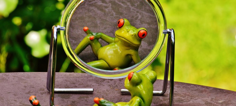 Alles im Leben ist ein&nbsp;Spiegel