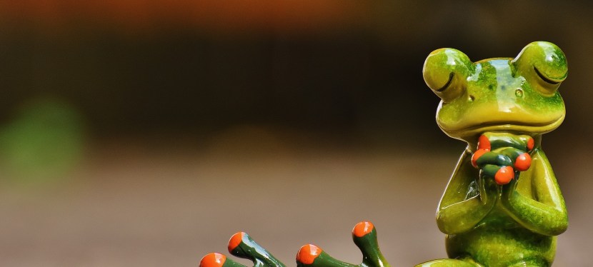 Tagebuch meines neuen Lebens / Tag&nbsp;25