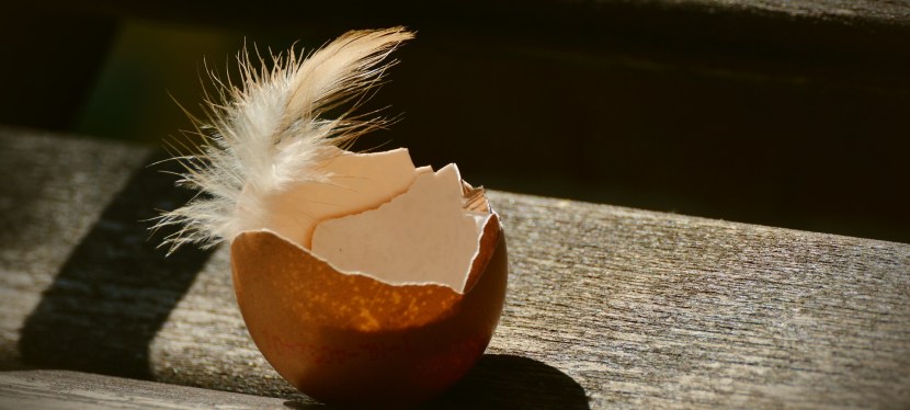 EIGENVERANTWORTUNG & SELBSTVERTRAUEN