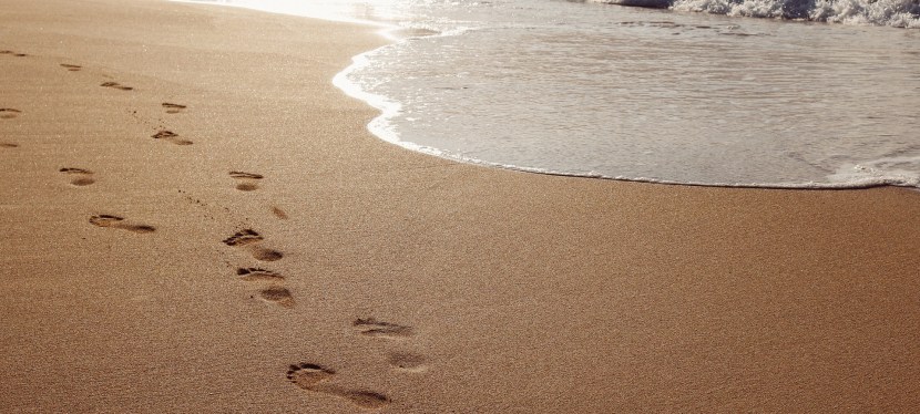 DES LEBENS SELTSAME&nbsp;WEGE