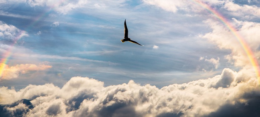 ZUVERSICHT – HOFFNUNG –&nbsp;HEILUNG?