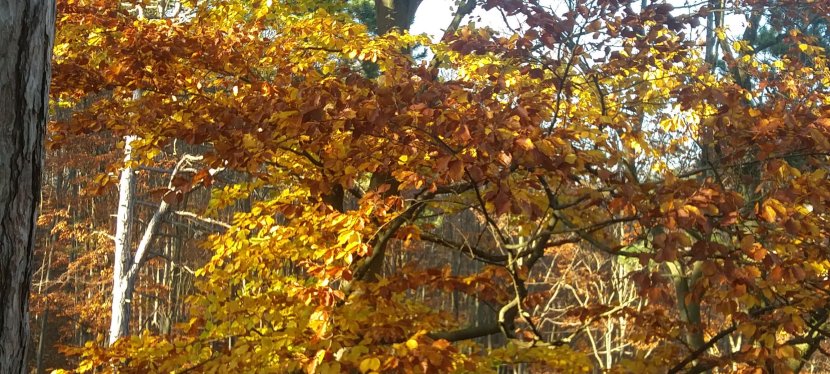 Reflexion einer Woche, die es in sich&nbsp;hatte