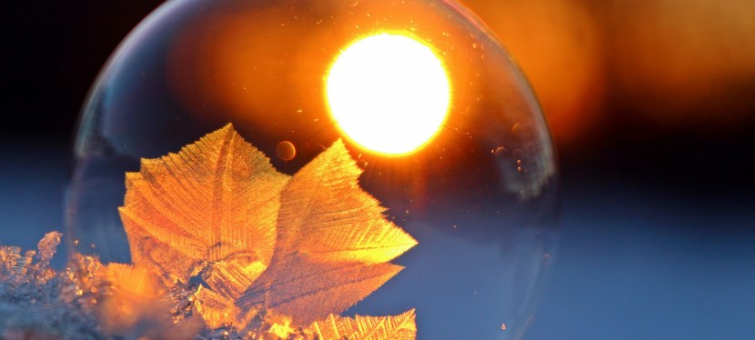 APROPOS … RADIKALE&nbsp;AKZEPTANZ