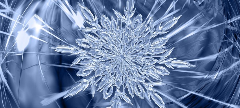 TAGEBUCH MEINES NEUEN LEBENS: Tag 165 … (k)ein&nbsp;Weihnachtsdrama