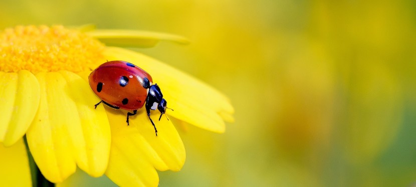 Fragen & Gedanken zum&nbsp;Leben