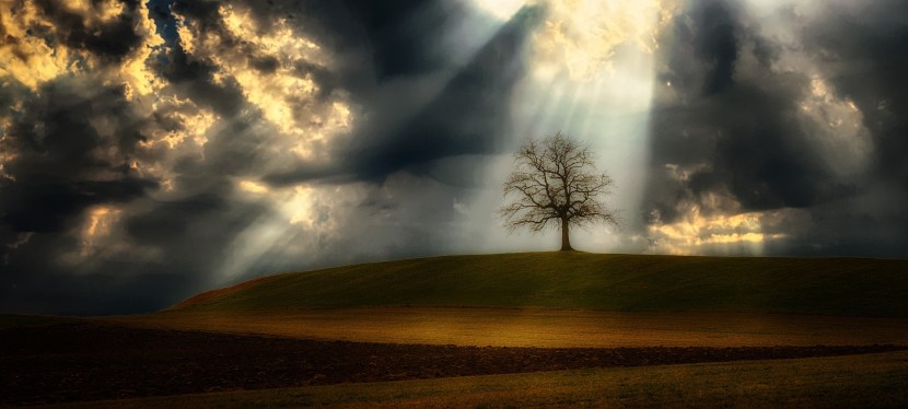 Ein etwas anderer&nbsp;Beitrag