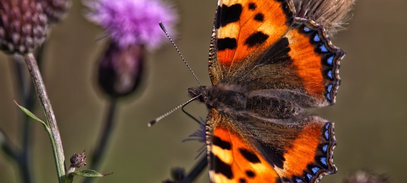 VERÄNDERUNG JA oder&nbsp;NEIN?