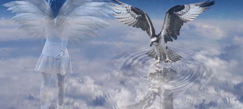 WELCOME TO STOCKHOLM