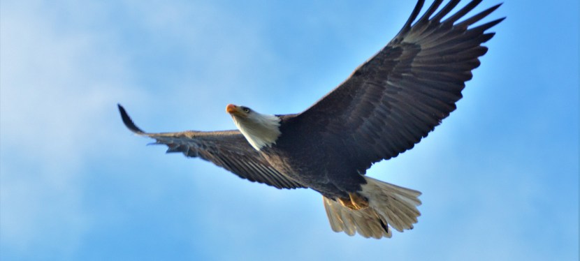 FREIHEIT – UND WAS&nbsp;DANN?