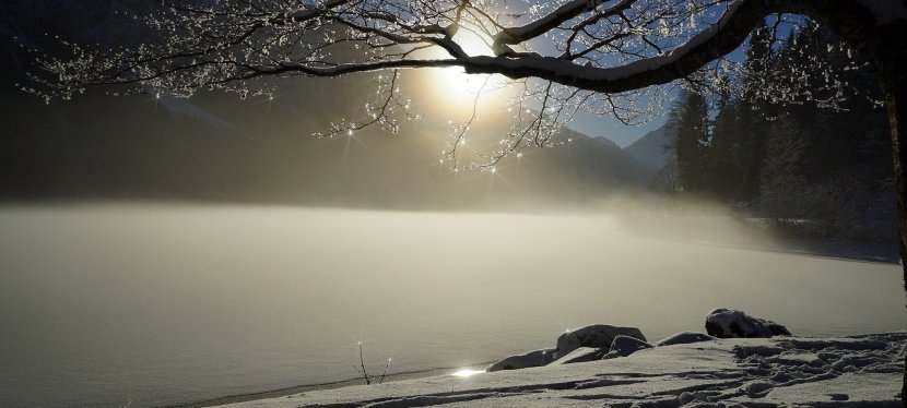 PANISCH … MANISCH … oder doch nur&nbsp;MENSCHLICH?