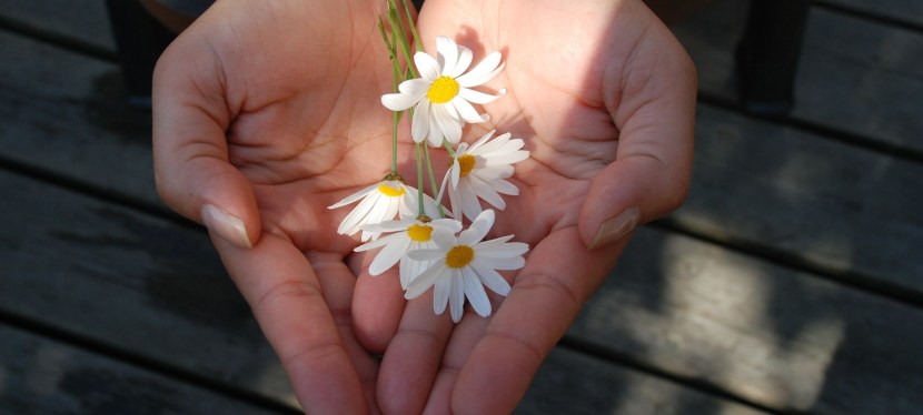 GEBEN UND NEHMEN EINMAL ANDERS&nbsp;BETRACHTET