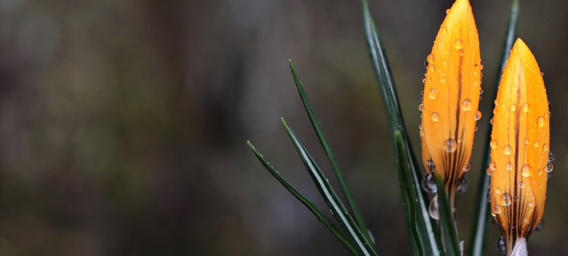 WENN – DANN … ODER DOCH: ES&nbsp;IST!