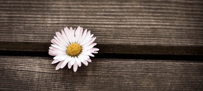 LEBENSFREUDE KANN MAN NICHT&nbsp;KAUFEN