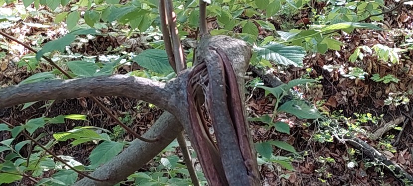 ICH KRIEG‘ DIE&nbsp;KRISE