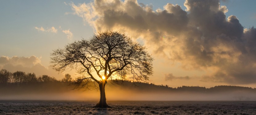DAS HEB‘ ICH MIR FÜR EINEN BESONDEREN ANLASS AUF&nbsp;…