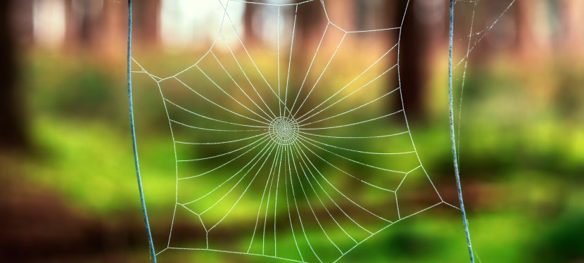 Nur so ein Gedanke&nbsp;…