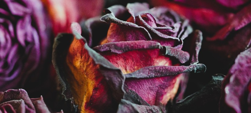 NACHSCHLAG ZUM WELTFRAUENTAG