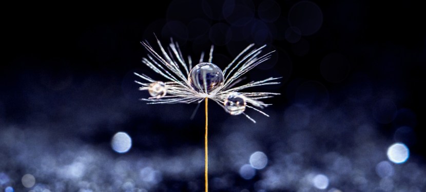 FÜHLEN IST KEINE&nbsp;KRANKHEIT