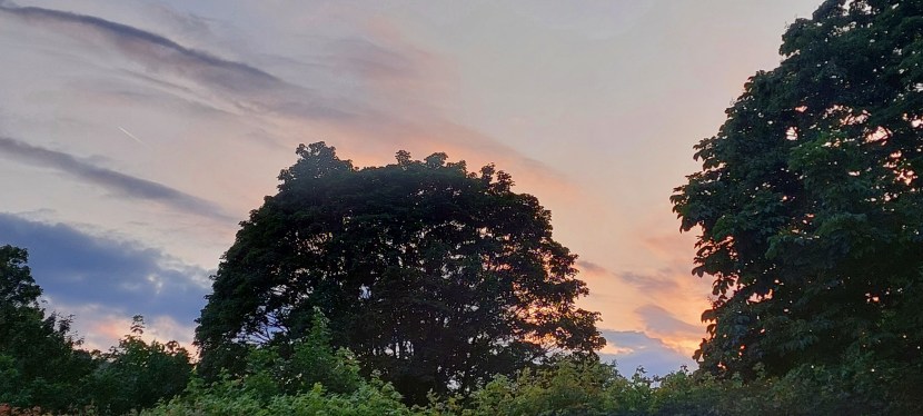 PRÜFUNG DES LEBENS: LIEBEN ODER&nbsp;LEIDEN?