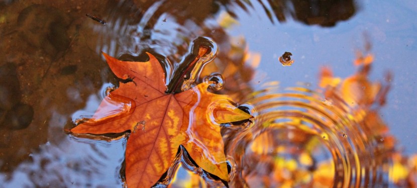 DIE ULTIMATIVE FRAGE