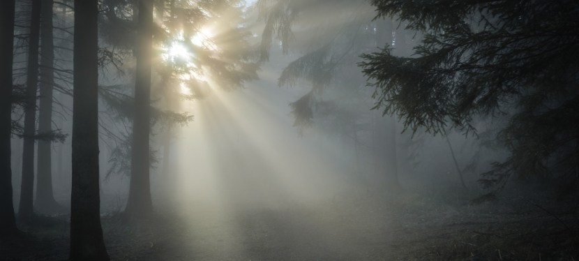 TIEFERGEHENDE EINBLICKE Vol.2