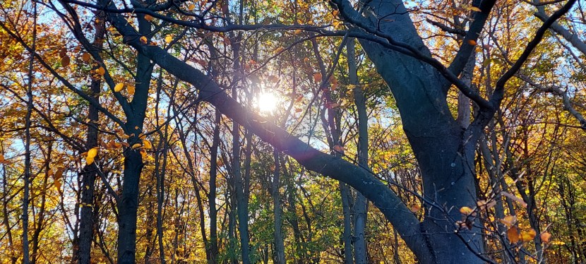 IN DER LIEBE&nbsp;LEBEN