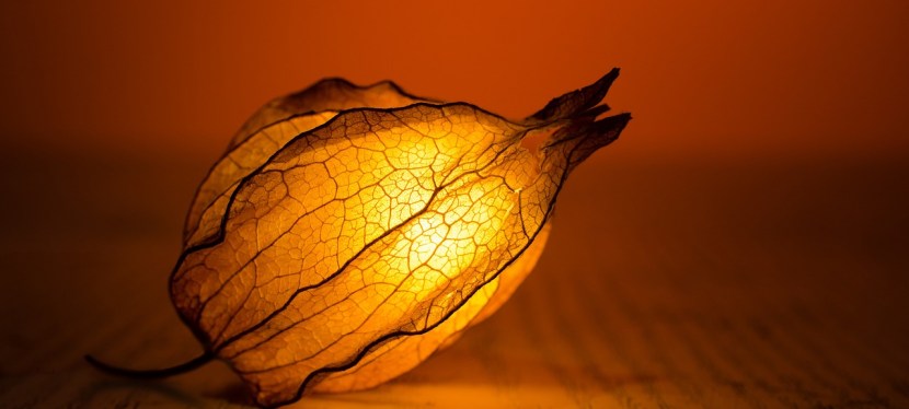 UNERWÜNSCHTE NEBENWIRKUNGEN