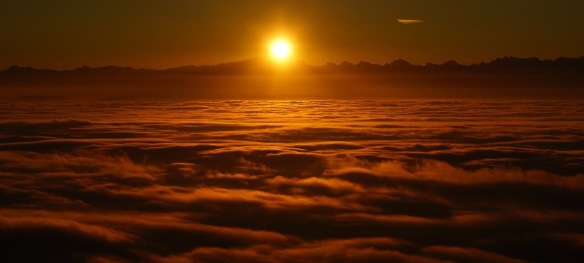 AUF DEN PUNKT&nbsp;GEBRACHT