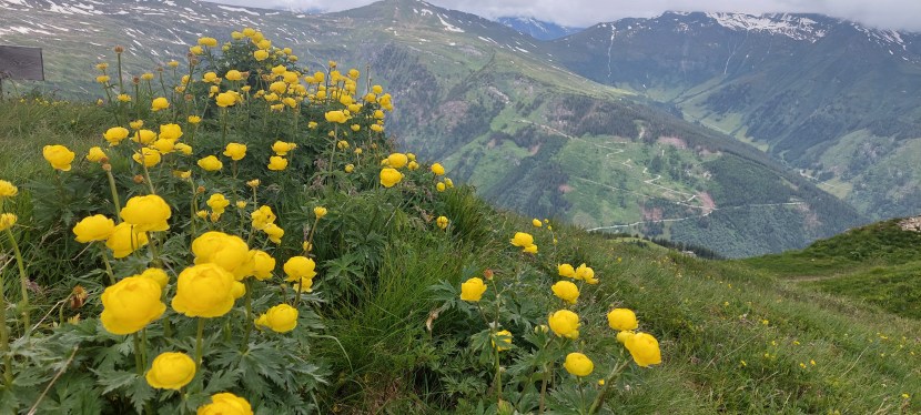 KLEINE SCHRITTE – GROSSE&nbsp;WIRKUNG