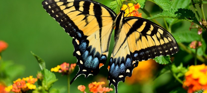 Ansichten und Einsichten einer&nbsp;Insiderin