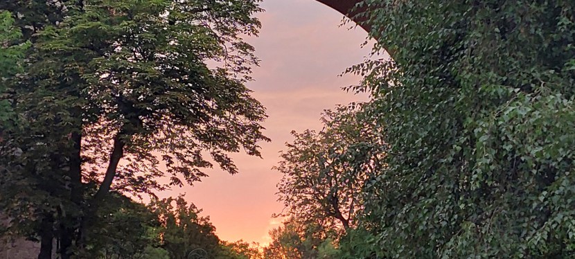 ALTE ERINNERUNGEN, NEUE&nbsp;PERSPEKTIVEN