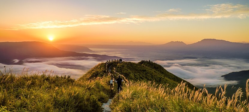 DER WEG DES&nbsp;VERTRAUENS
