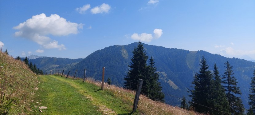 IN DER MITTE DES&nbsp;LEBENS