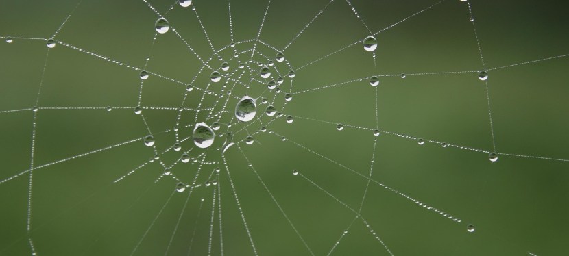 DAS IST NICHT&nbsp;LUSTIG